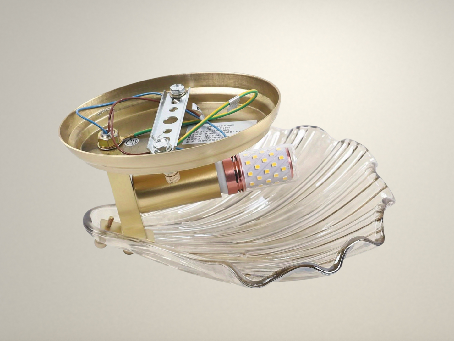 Radientia Sea Shell Wall Lamp – Modern Glass Wall Light Sconce