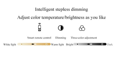 Radientia Nordic LED Art Floor Lamp – Dimmable with Remote & RGB Options