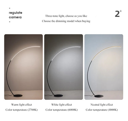 Radientia Nordic LED Art Floor Lamp – Dimmable with Remote & RGB Options