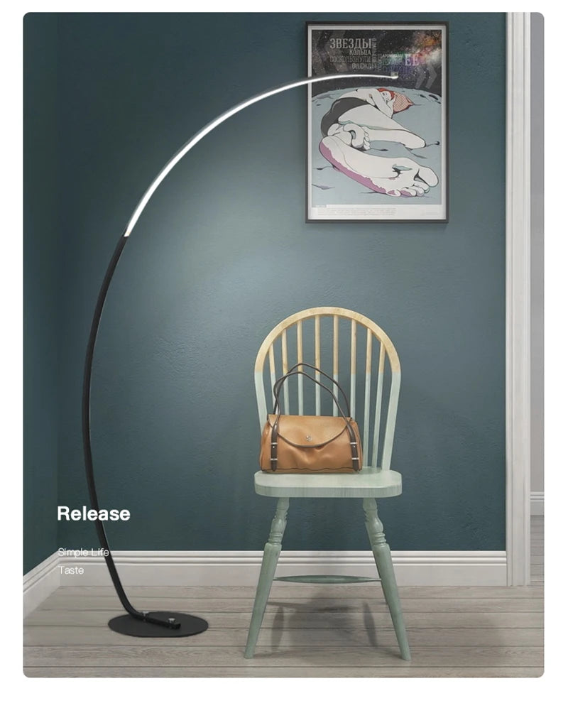 Radientia Nordic LED Art Floor Lamp – Dimmable with Remote & RGB Options