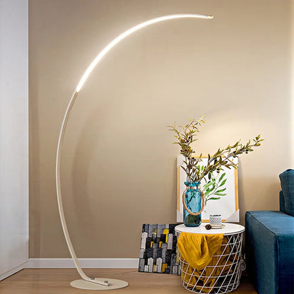 Radientia Nordic LED Art Floor Lamp – Dimmable with Remote & RGB Options