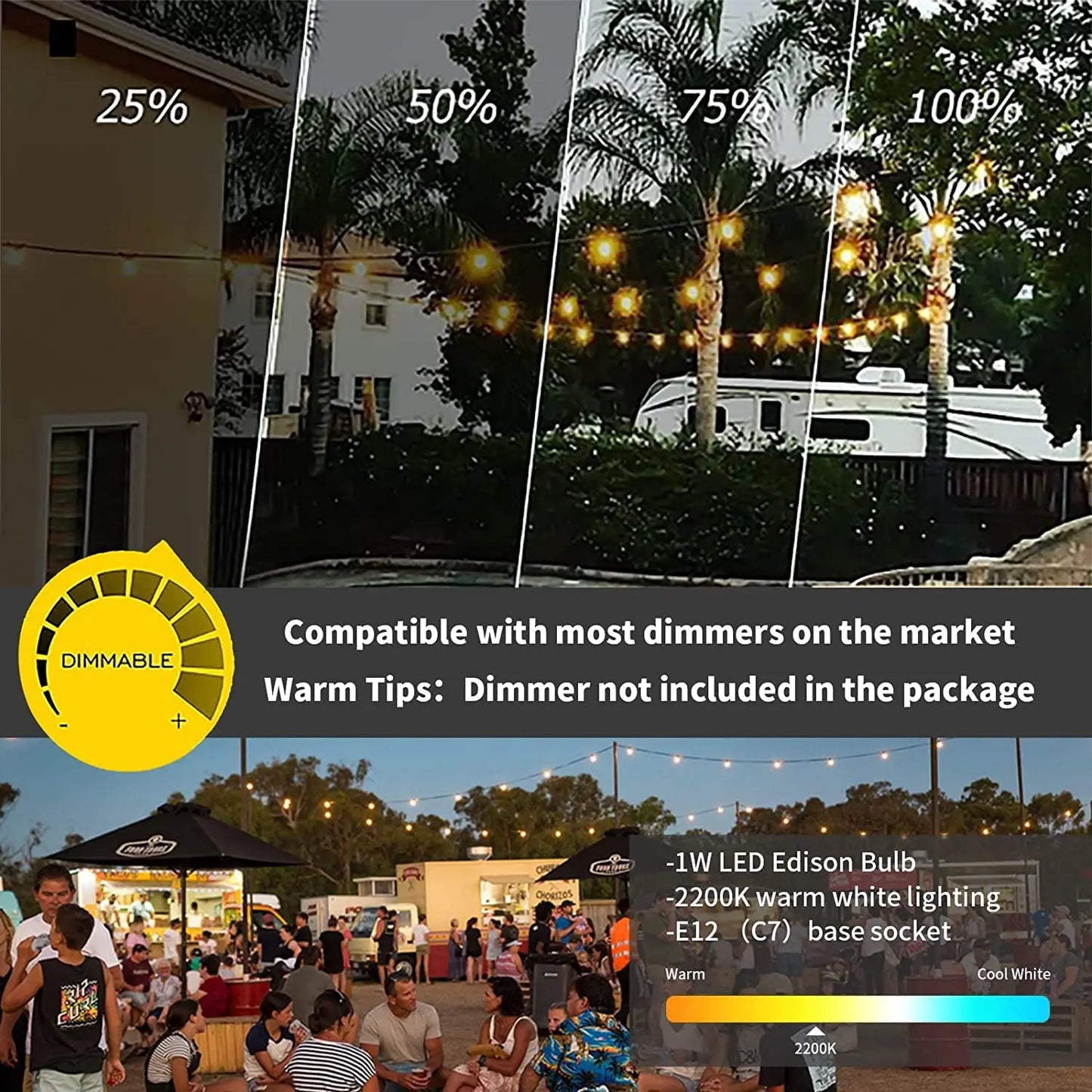 Radientia ST38 LED Outdoor String Lights – Waterproof Edison-Style Bulbs